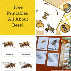 bee activities and printables for kids to learn about bees