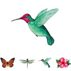 a hummingbird flying through the air next to some flowers and dragonflies on a white background