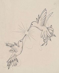 two birds flying next to each other in the air with their beaks touching noses