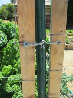 two wooden posts with barbed wire on them in front of some bushes and trees,