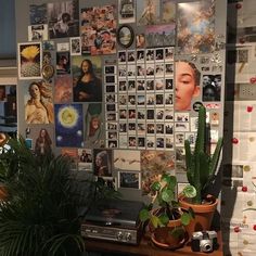 there are many pictures on the wall and plants in the vases next to them