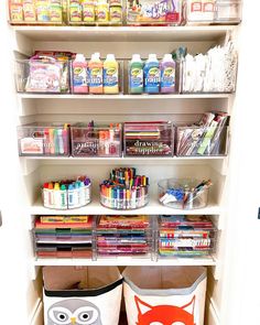 an organized pantry with shelves and bins filled with books, crayons, washcloths, and other items