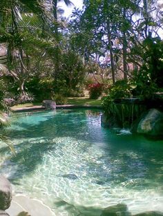 an outdoor pool surrounded by trees and rocks