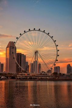 a large ferris wheel sitting in the middle of a body of water near tall buildings