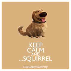 the secret life of pets movie poster keep calm and squirrle with this cute print