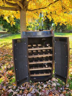 a wine rack in the middle of leaves under a tree