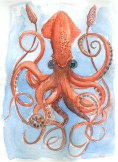 an orange octopus in watercolor and ink