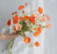 a hand holding a bouquet of flowers on a white background with orange and yellow petals