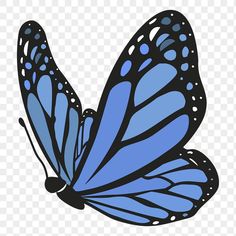 a blue butterfly flying in the sky with no background, hd png clipart