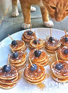 a cat looking down at some pancakes with blueberries on them and a stick in the middle