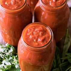 four jars filled with red sauce sitting on top of a green leafy tablecloth