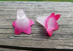 two pink flowers sitting on top of a wooden table next to each other and one flower in the middle