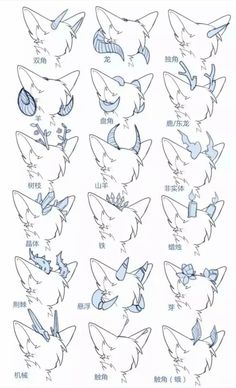 an image of different types of cats in chinese writing, with the words written below them