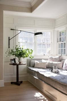 a living room filled with furniture and a plant on top of a window sill