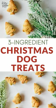 three ingredient christmas dog treats on a white background with pine cones and evergreen branches in the foreground