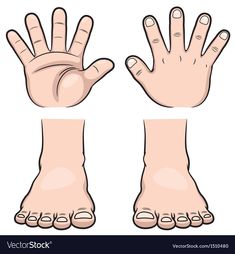 hands with different positions and gestures