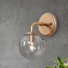 a wall light with a glass globe shade on it's side and a plant in the corner