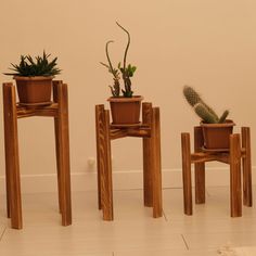 three wooden chairs with plants in them sitting on the floor next to eachother