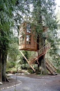 a tree house built into the side of a large tree in a wooded area with stairs leading up to it