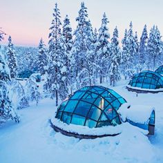 snow covered trees and buildings in the middle of a snowy forest at dusk with blue glass domes