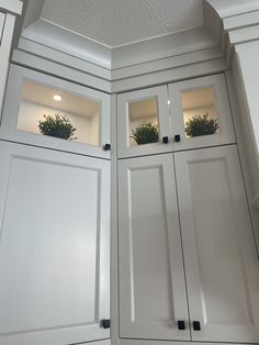 the cabinets are all white and have plants in them