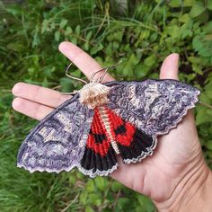 a hand holding a small moth in it's left palm and green foliage behind it