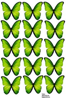 green butterflies are arranged in rows on a white background