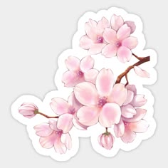 pink flowers sticker on white background