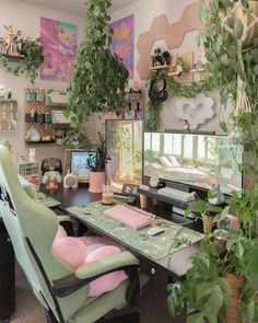 a desk with two computer monitors on top of it next to a potted plant