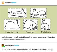 an image of animals that are in different positions