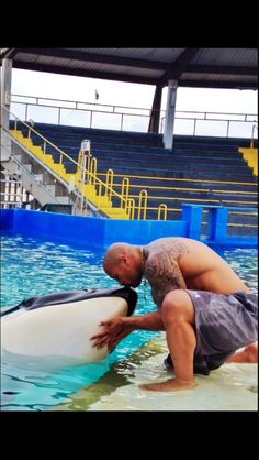 a man in the water with a surfboard next to a dolphin that is laying on it's side