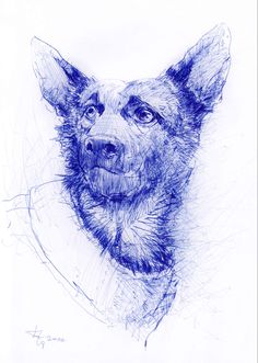 a drawing of a dog's head in blue ink