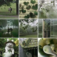 a collage of photos with cats, trees, and people in the rain holding umbrellas