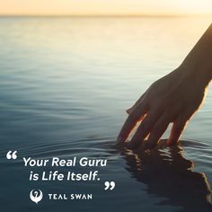 a person's hand reaching into the water with a quote above it that reads, your real guru is life itself