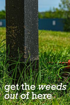 a fire hydrant sitting in the grass next to a sign that says, get the weeds out of here