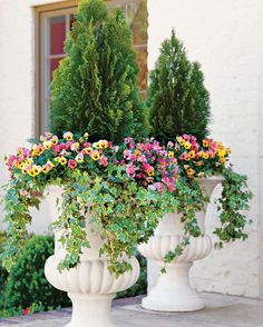 two large white vases with flowers in them