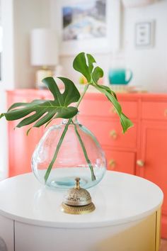 a plant in a glass vase sitting on top of a white table next to a dresser