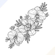 an ink drawing of flowers on a white background