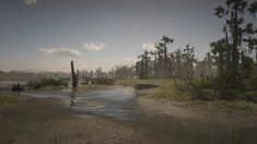 a swampy area with water and trees