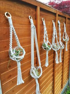 several ropes are hanging on the side of a wooden fence with succulents in them