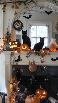 Transform your space with these 24 Halloween living room ideas perfect for Fall 2024! Discover aesthetic and simple DIY home decor inspiration that brings spooky charm to your living room. From spooky mantel displays and pumpkin patch decor to witchy themes and gothic elegance, these ideas will elevate your Halloween decorations. Embrace haunted house vibes, skeleton crew setups, and creepy candleholders for a unique touch. Perfect for adding festive flair with spider web accents, Day of the Dead decor, and more. Living Room Ideas Aesthetic, Pumpkin Patch Decor, Discover Aesthetic, Simple Diy Home Decor, Floating Ghosts, Decor Inspiration Diy, Halloween Living Room, Spooky Ideas, Skeleton Crew