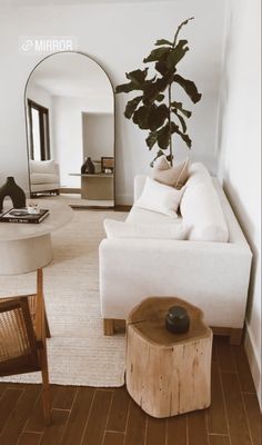 a living room filled with furniture and a plant in the middle of it's center