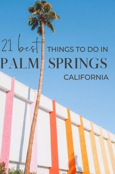 palm tree with the words 21 best things to do in palm springs, california