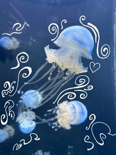 some jellyfish are swimming in the water