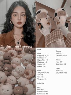 a collage of photos with stuffed animals and text that reads, the same image as shown below