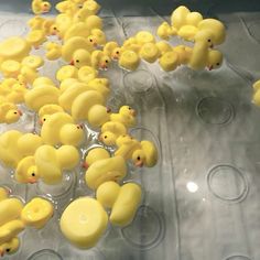 many yellow rubber ducks floating on top of a clear plastic container filled with water and surrounded by smaller ones