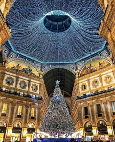 a large christmas tree in the middle of a building with lights hanging from it's ceiling