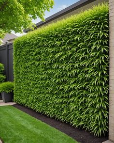 a large green hedge next to a house