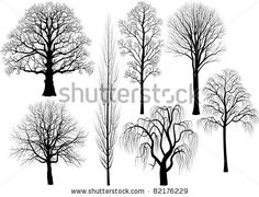 trees without leaves on a white background royalty photo - image 399874