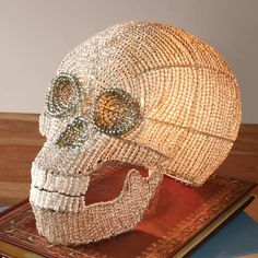 a book with a skull on top of it and a light in the shape of a human head